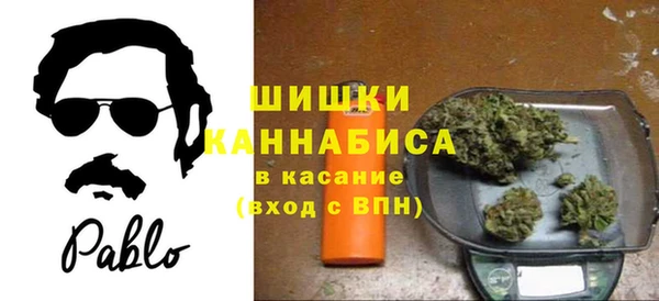 ECSTASY Богородицк