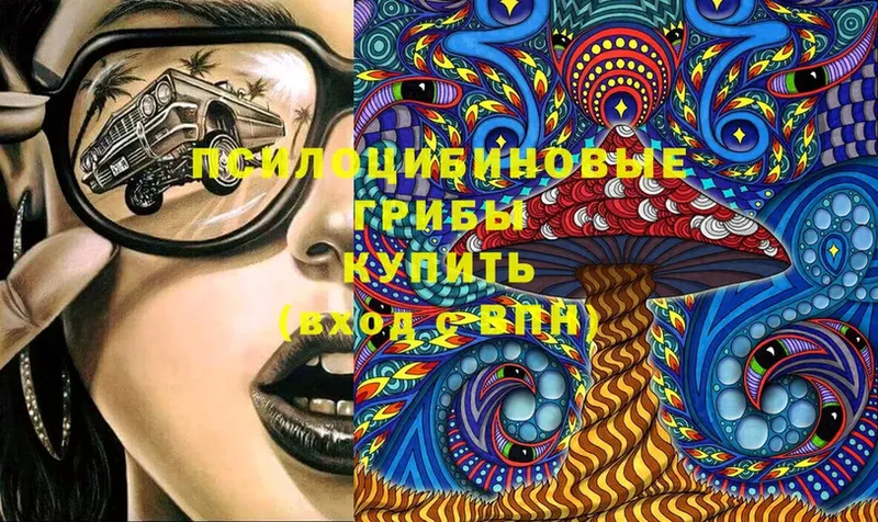 Галлюциногенные грибы Cubensis  Кущёвская 